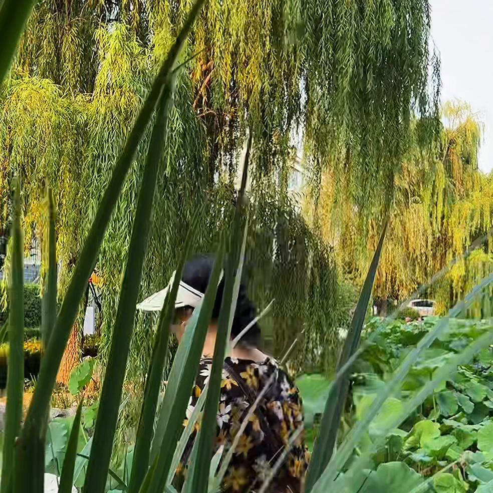 涓堟瘝濞樼殑蹇冮吀鐢熸椿,涓堟瘝濞樼殑蹇冮吀浜嬭抗