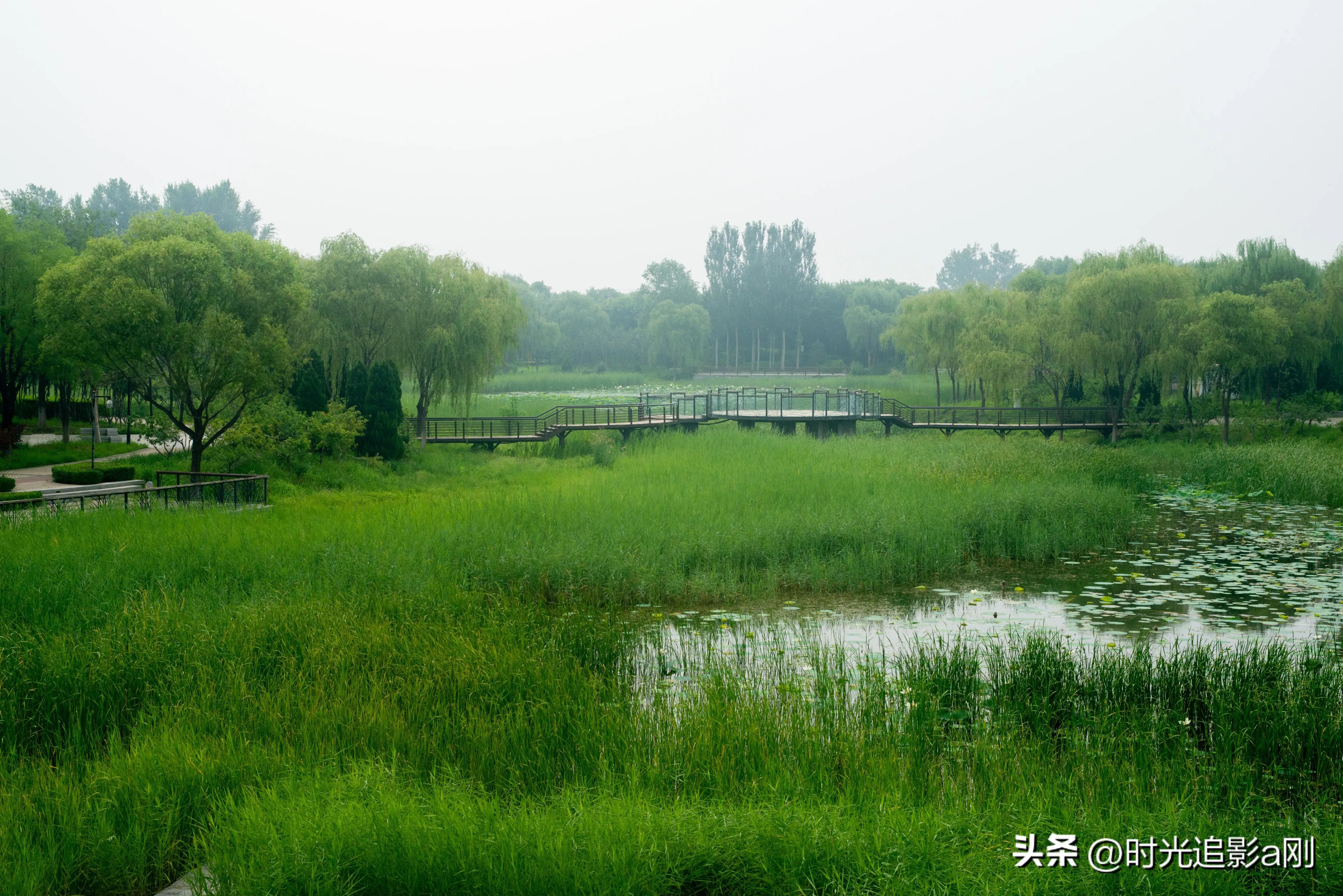 秋日时光音乐会花絮,秋日傍晚公园的美景