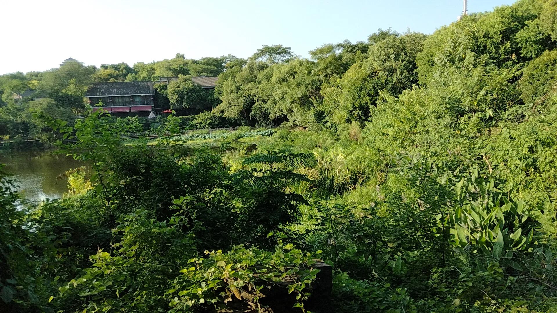 平湖明湖公园攻略,平湖公园免费景点