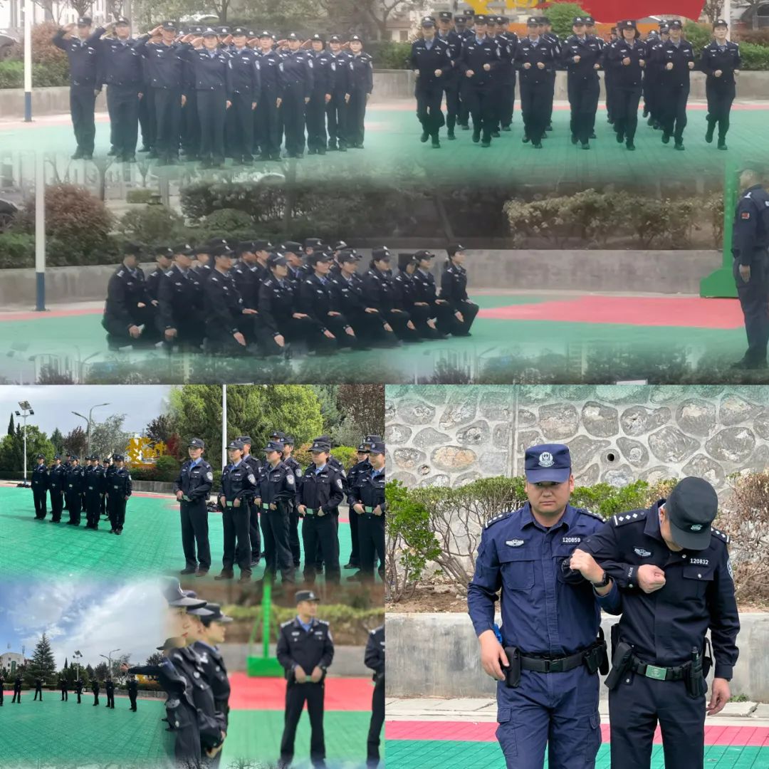 交警转变执法理念提高执法效能,公安民警作风转变有成效