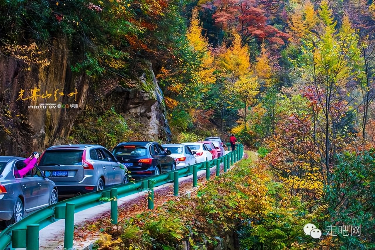 新手开车注意事项汇总,新手开车注意事项及安全措施