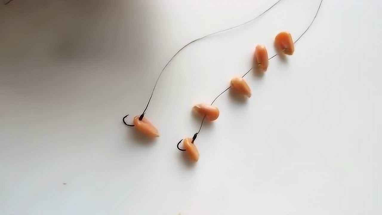 钓草鱼玉米挂钩的正确挂法,玉米钓鲤鱼挂钩正确方法图片