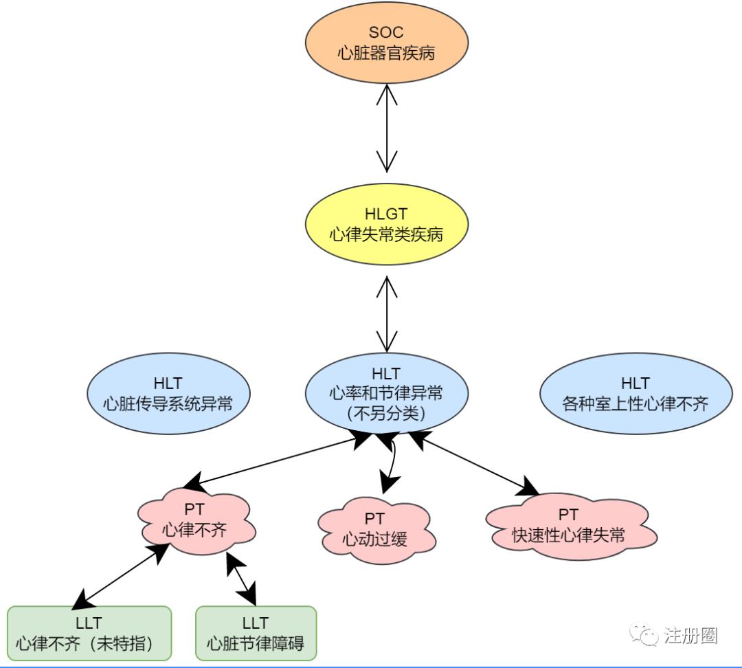 药物警戒体系管理规定,药物警戒组织架构