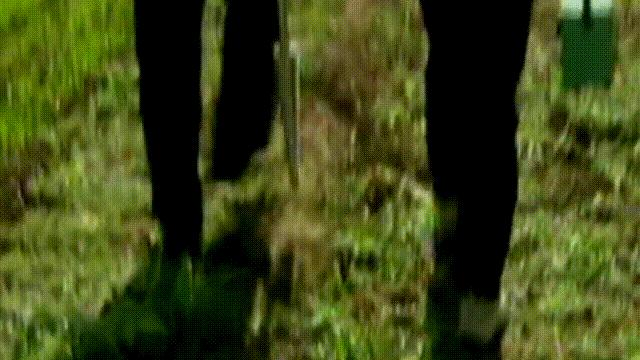 秦始皇陵考古历程资料,秦始皇陵兵马俑考古新发现