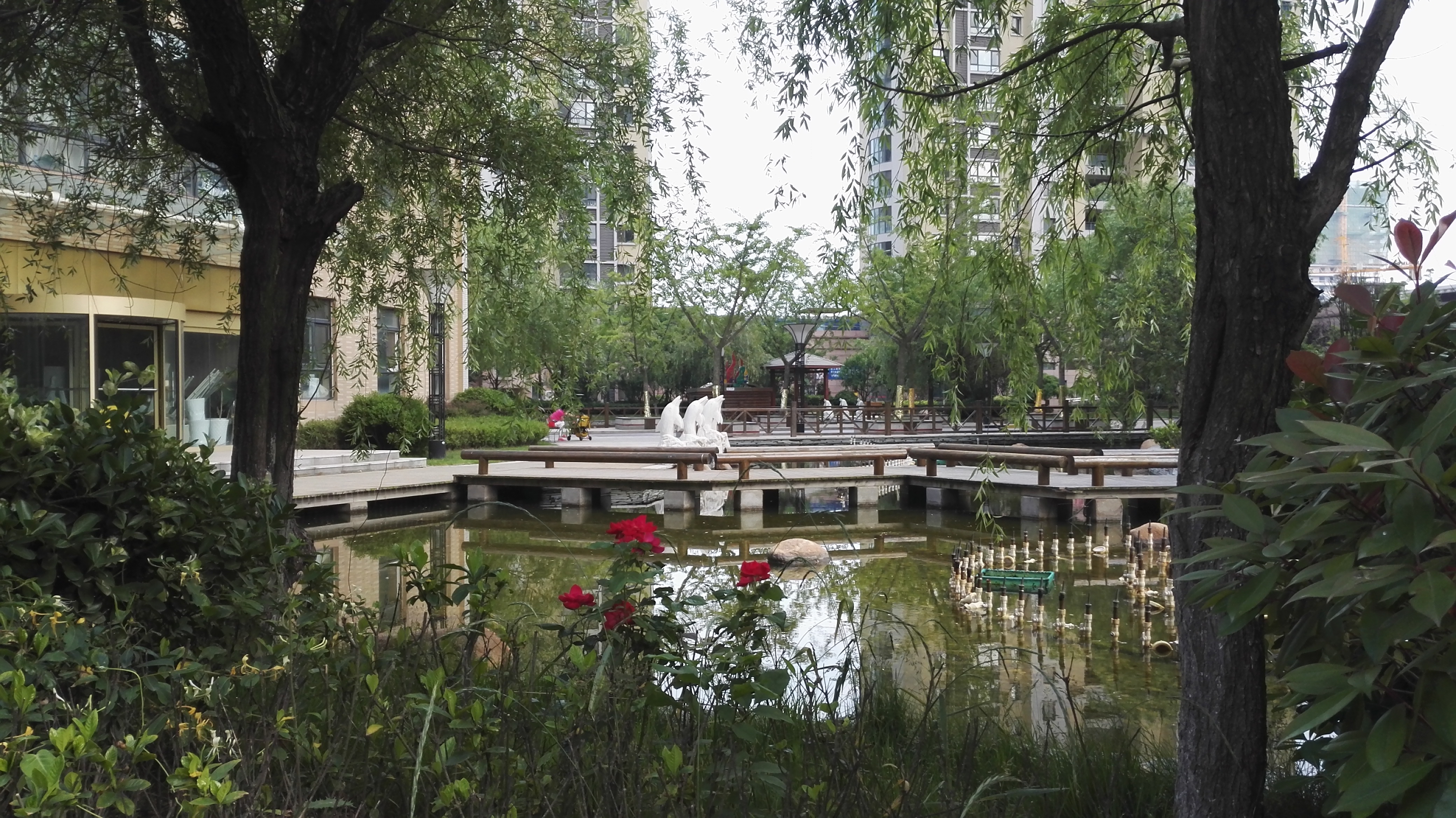 西海岸中南海湾新城,青岛西海岸中南海湾新城