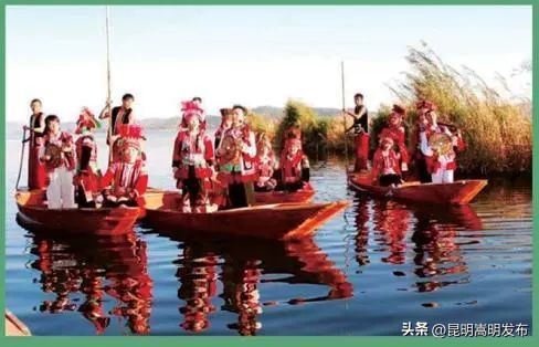 花博会云南,花博会来了