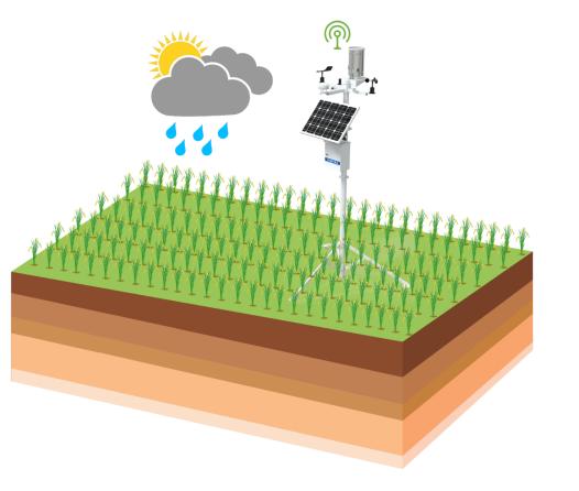 四情监测是什么意思,农业四情监测系统