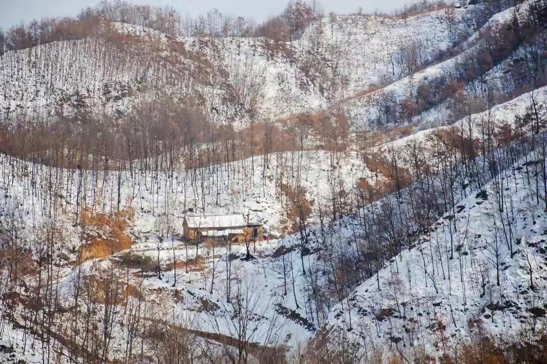 荒野猎人三,猎人3级潜行技能在哪学