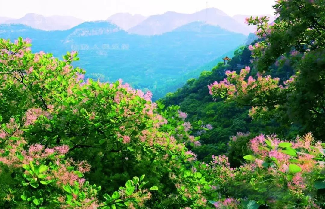 夏天清凉旅游线路推荐,暑假热门旅游线路推荐