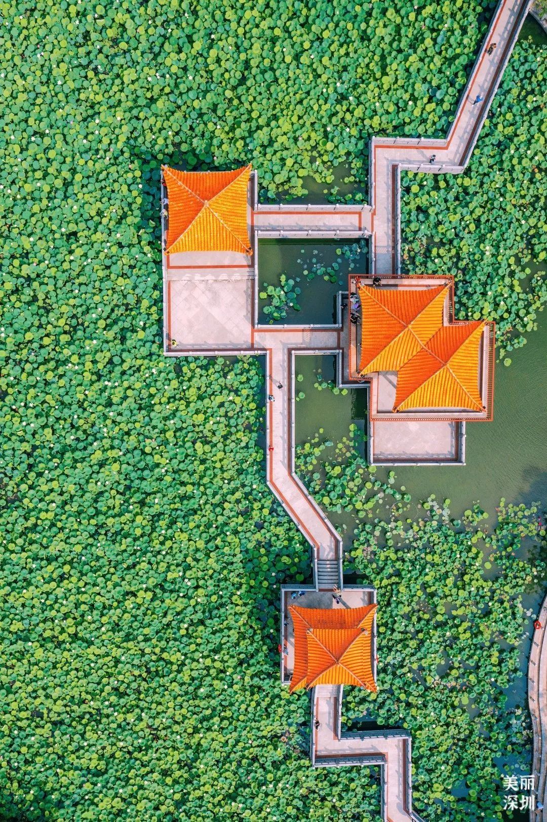 深圳人游玩推荐,深圳人爬山看海