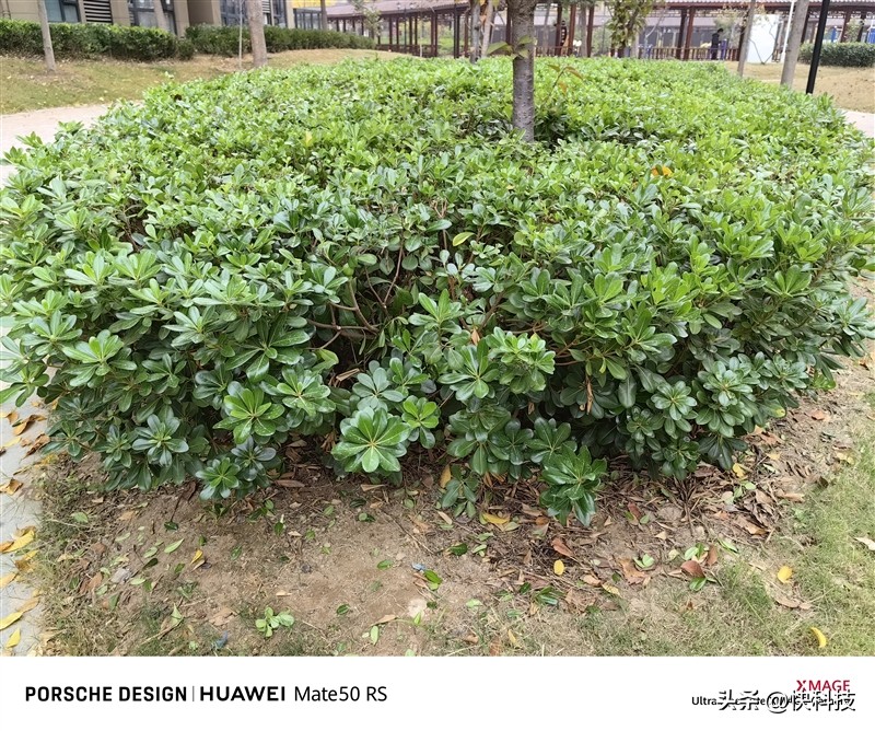 华为mate50e跟mate50值得购买吗,华为mate50e和mate50哪个值得买