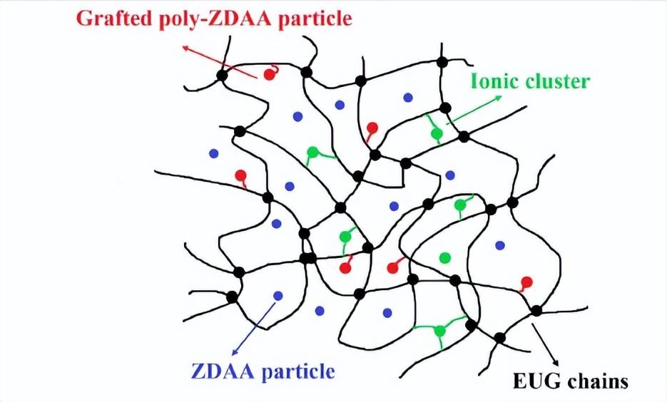 杜仲胶耐磨,杜仲胶简介