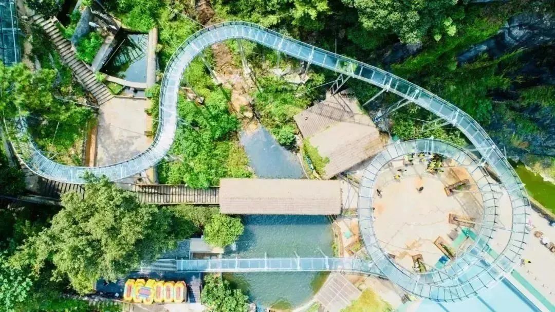 带你们体验摘杨梅的乐趣,酸酸甜甜的杨梅有谁陪我一起采摘