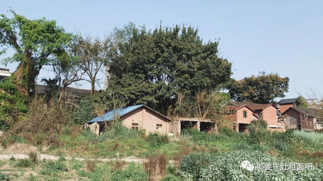 自贡古城回忆,内江城市记忆