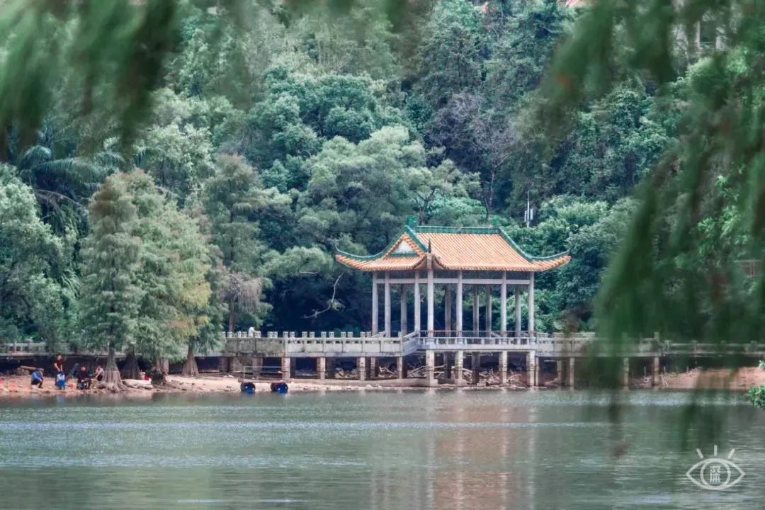 十大风景最美的湖泊排行榜,深圳风景美丽的湖泊