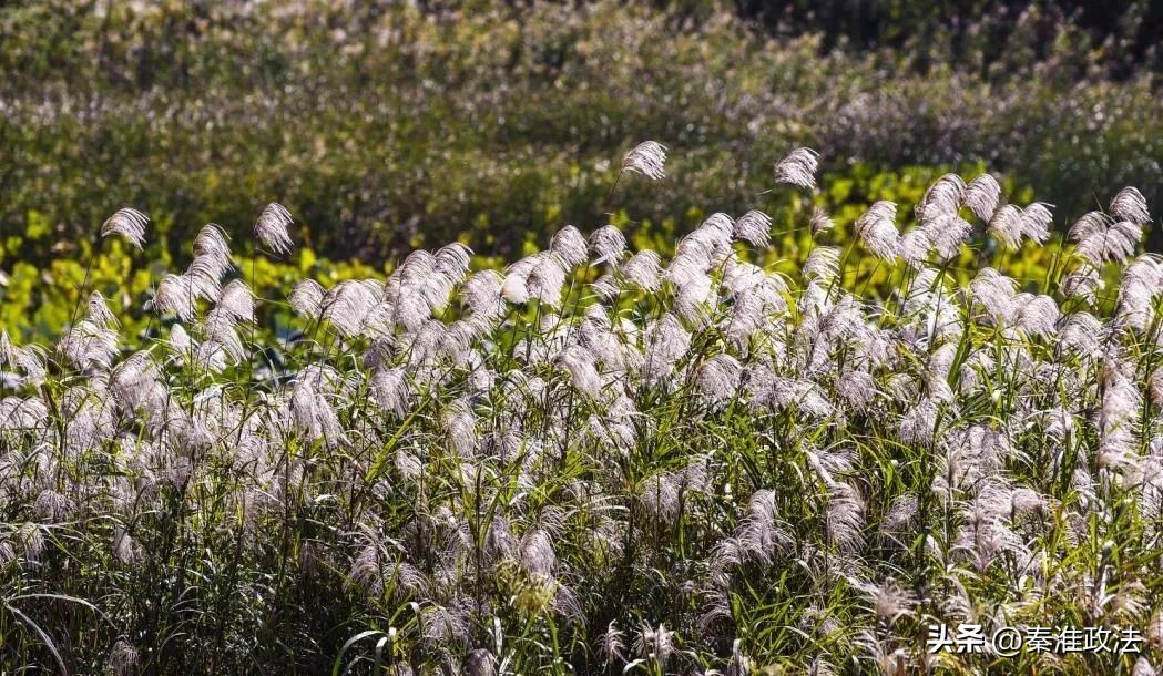 南京地铁11号线效果图,航拍南京地铁11号线旁超大公园