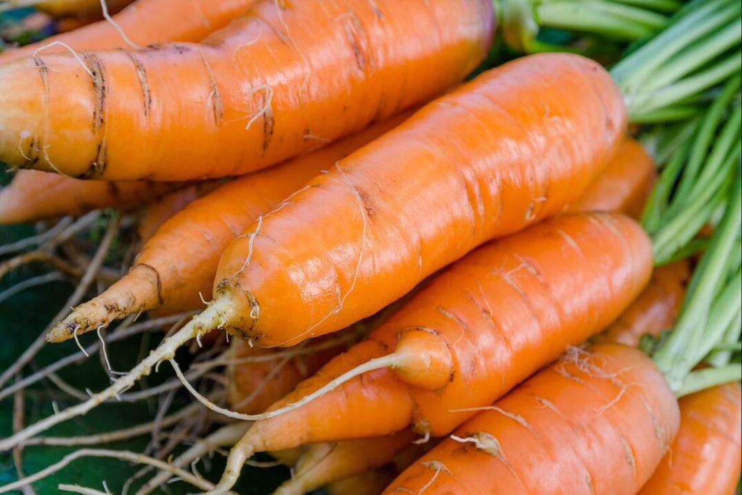 怎么区分各种蔬菜,各种蔬菜的识别