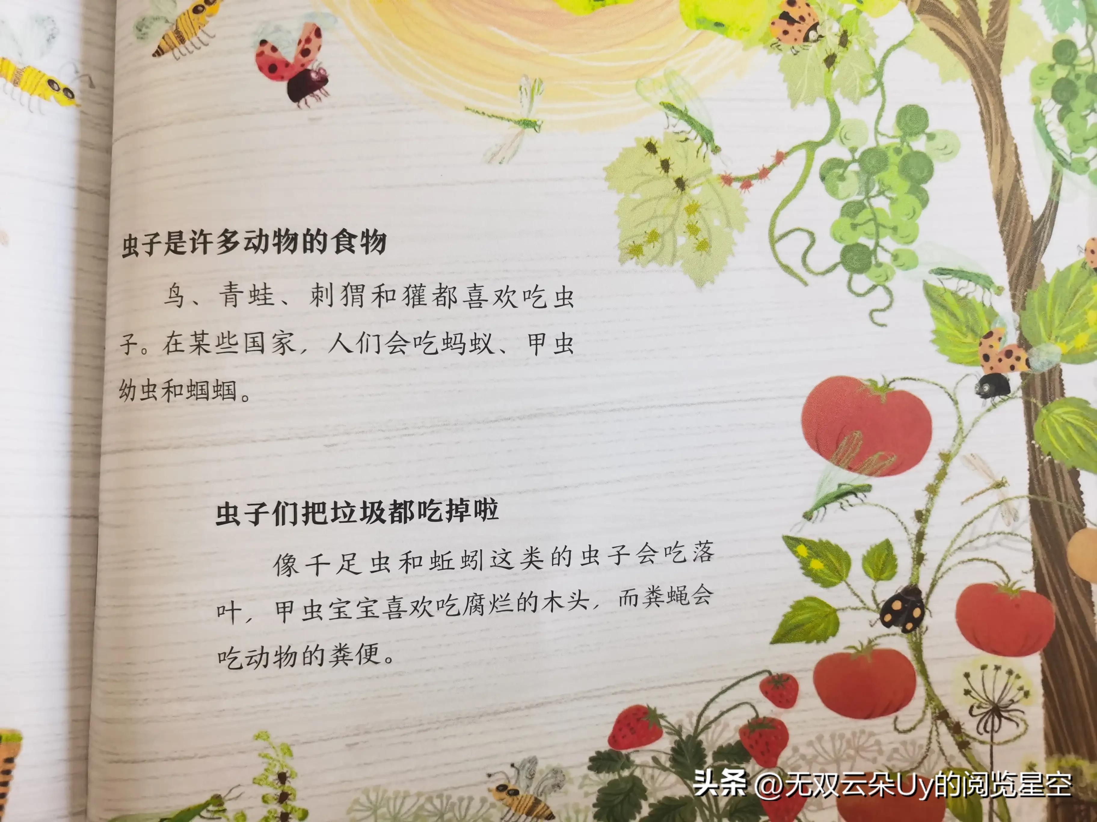 【绘本阅读⑦】虫虫！！！别怕，都躲进书里啦！找到它！