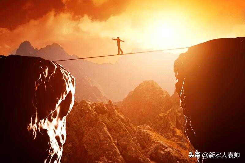 焦点|粉笔试水直播带货“B面”：教培转型直播电商过得好吗？