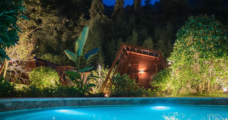 1.5h刹拢！被誉为川版“花城”，这个宝藏好耍地美得不像话