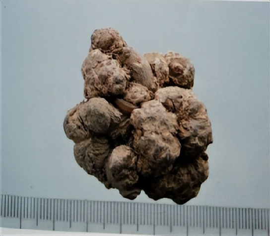 中医三七药材标准,三七真假对比图片三七主治