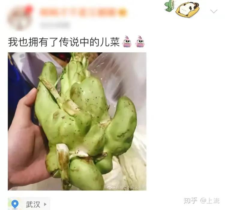 只有四川人才知道的冷知识,对四川人的了解