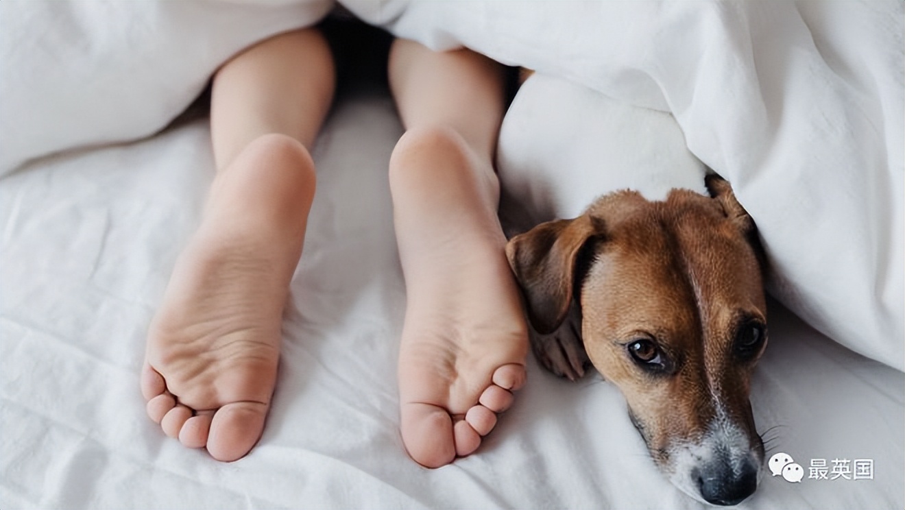 omicron鍥戒骇鐤嫍,omicron鐤嫍