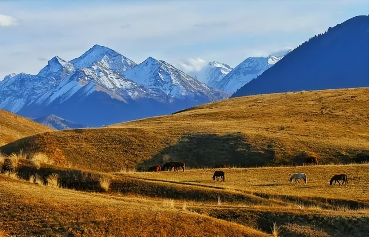 董夏青青人民文学,第八届鲁迅文学奖参评作品