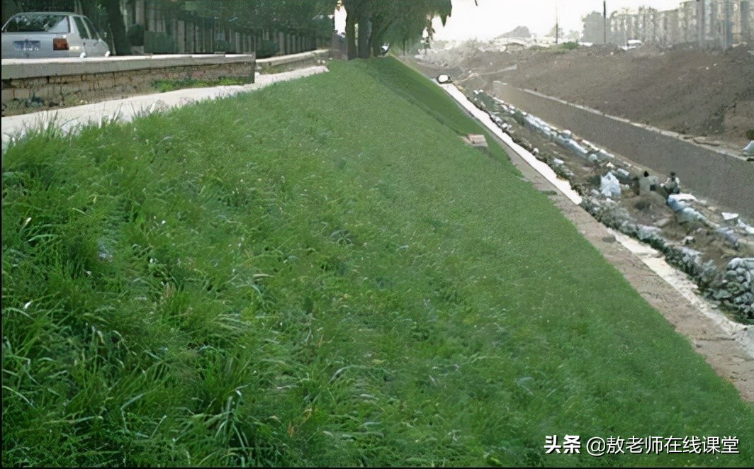 草坪园林景观设计,园林景观和草坪景观区别