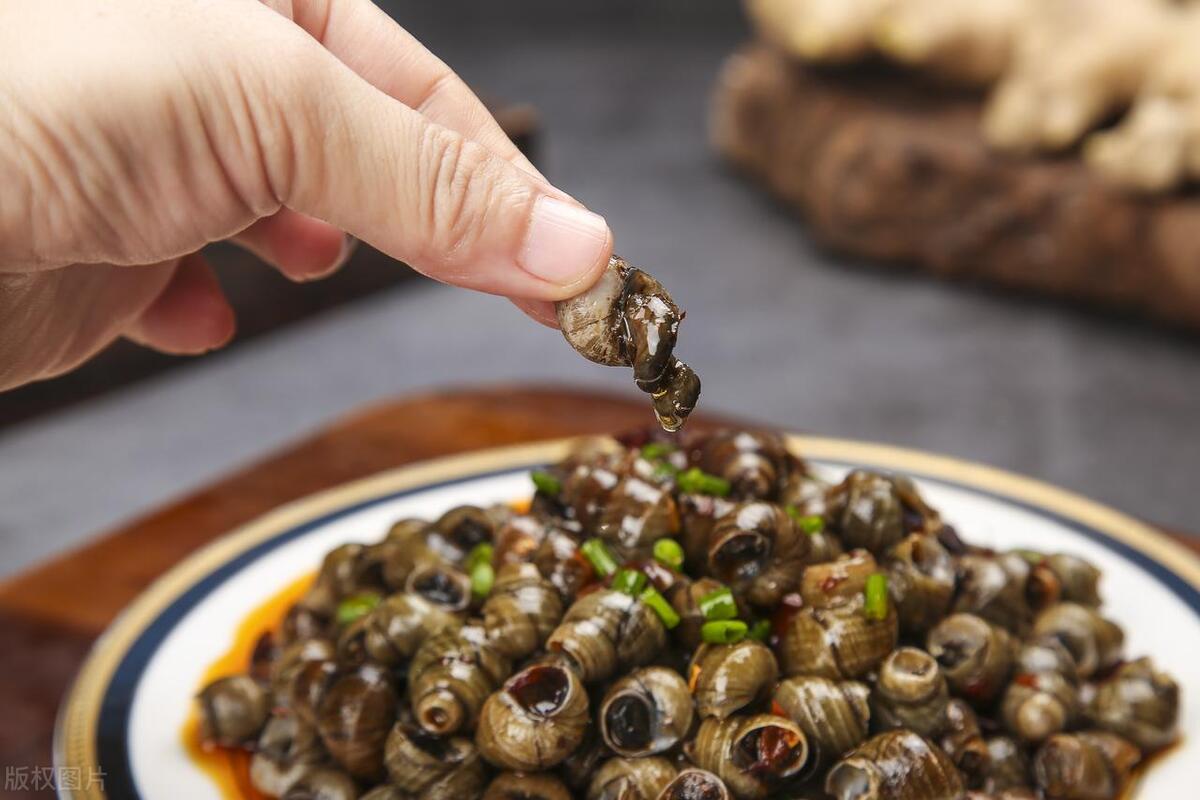 江苏捕田螺被抓视频,捕获田螺被抓