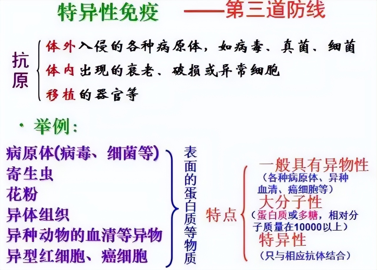高中生物免疫失调知识点讲解视频,高中生物免疫调节