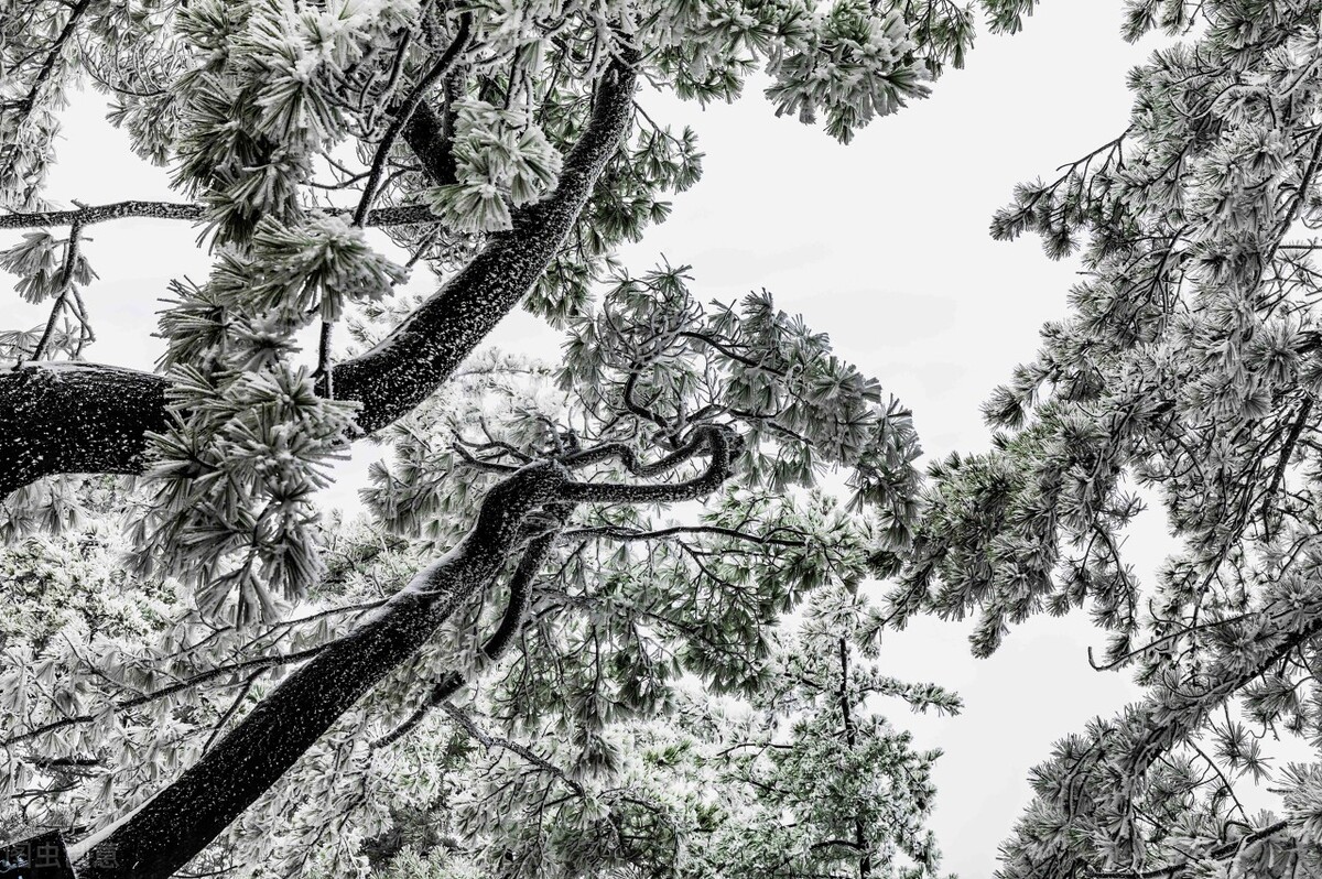 郭进拴,郭进拴令人惊心动魄的生死守护
