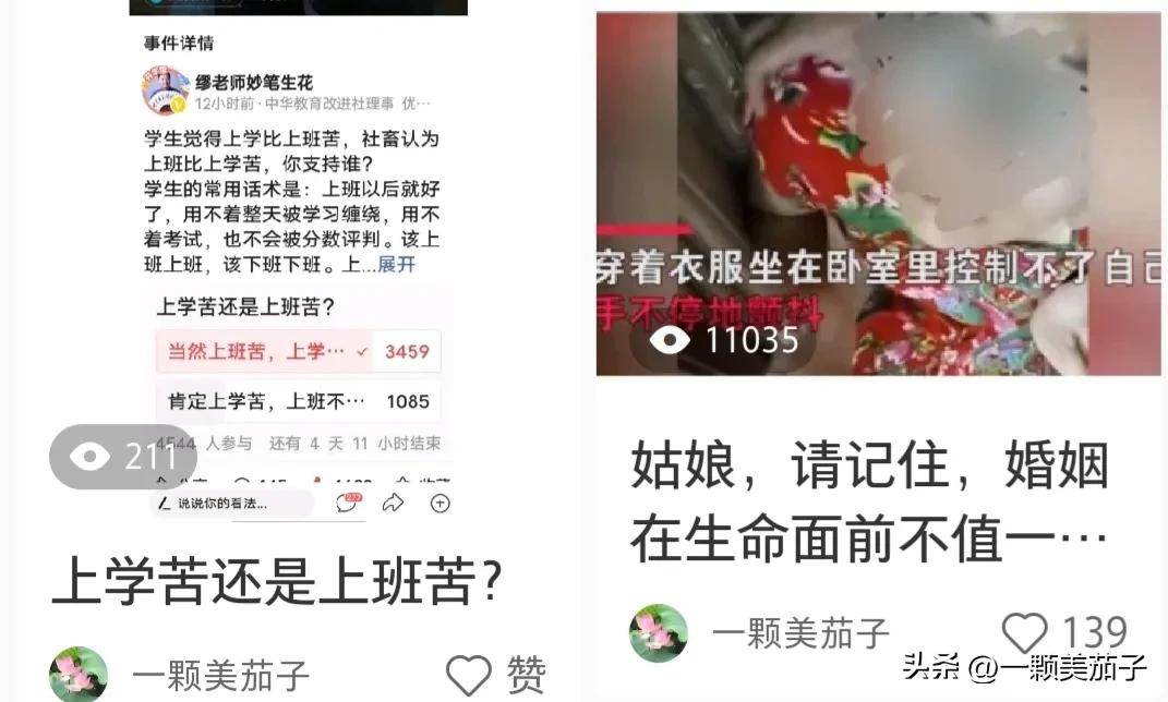 企鹅百家今日头条收益哪个高,头条百家都有收益了吗