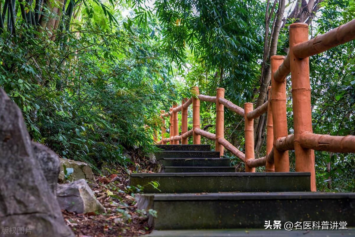 人工智能康复理疗,膝盖辅助机器人