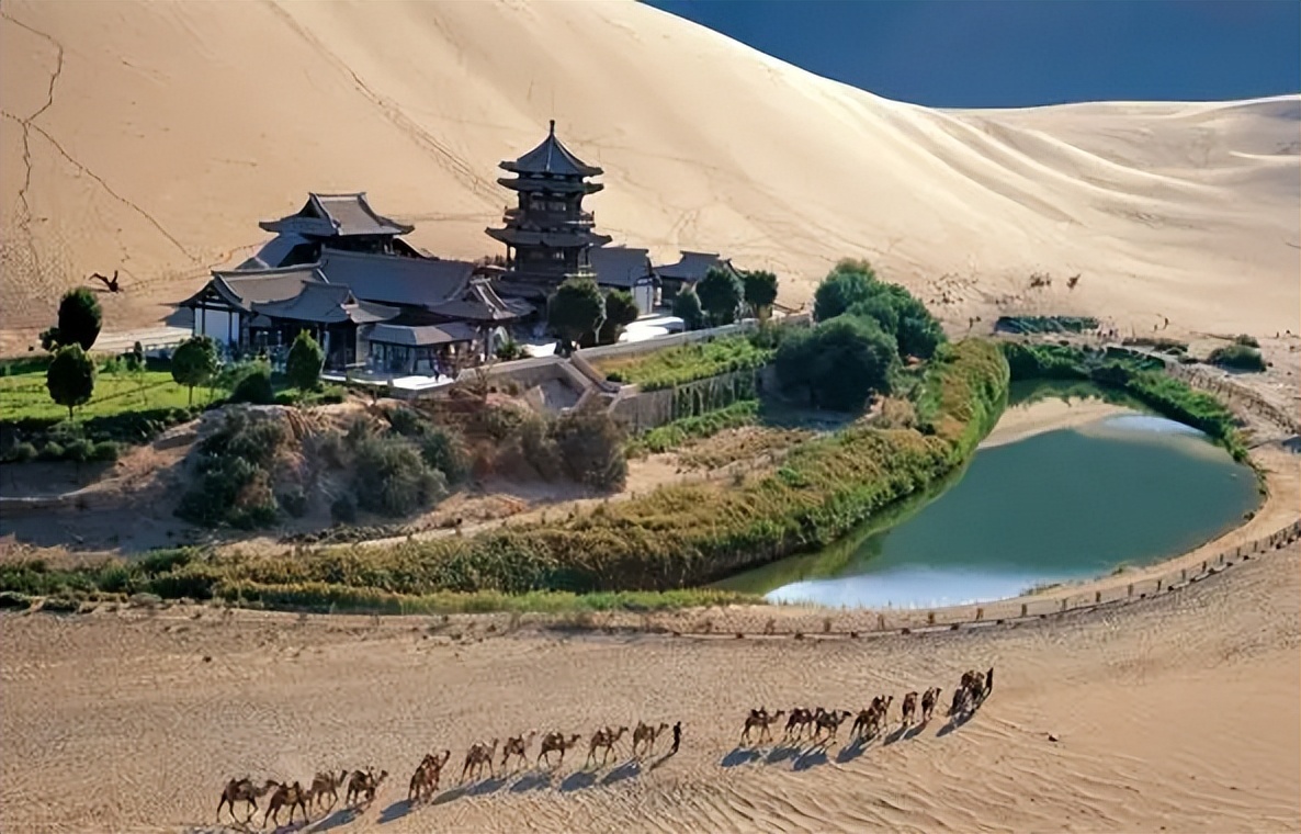 甘肃人喝西凤酒吗,甘肃人喝古井贡酒吗