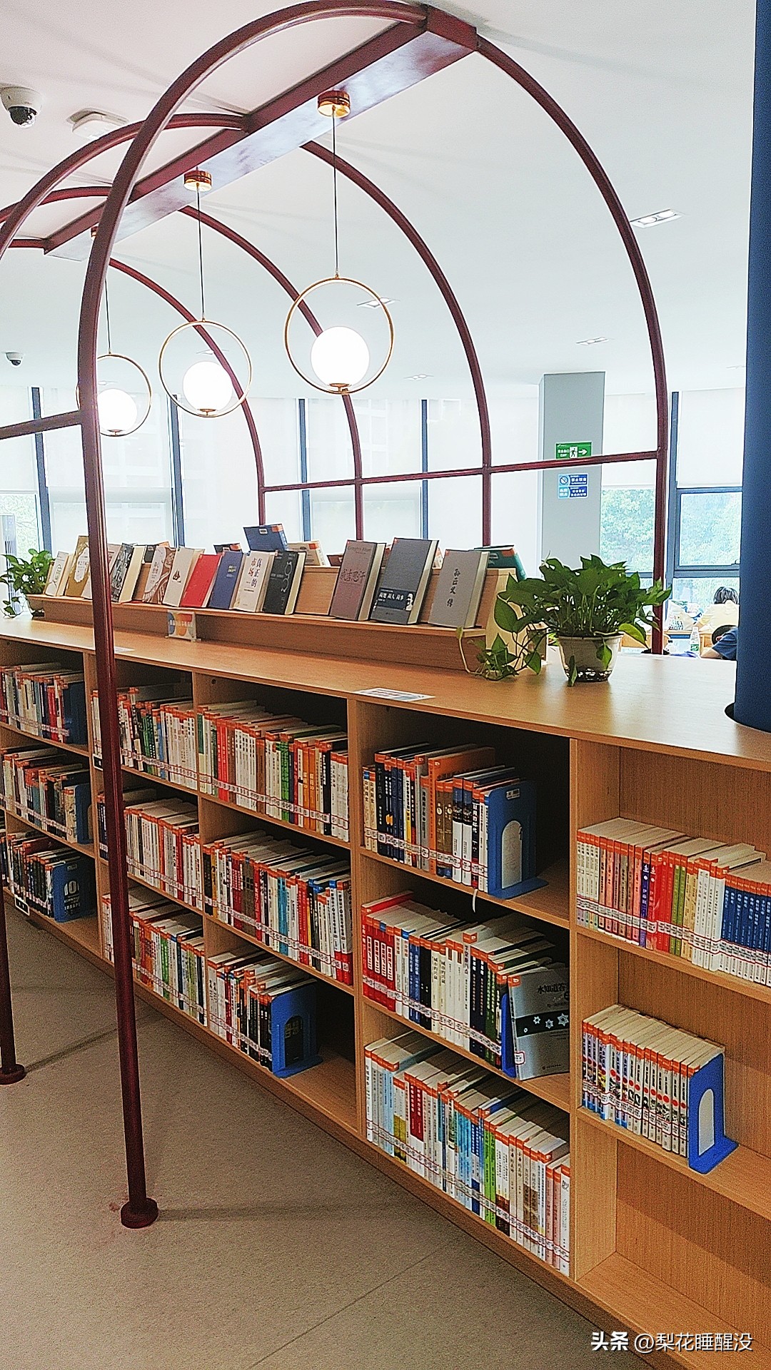 周末陪娃读书,放假了陪着孩子好好玩玩