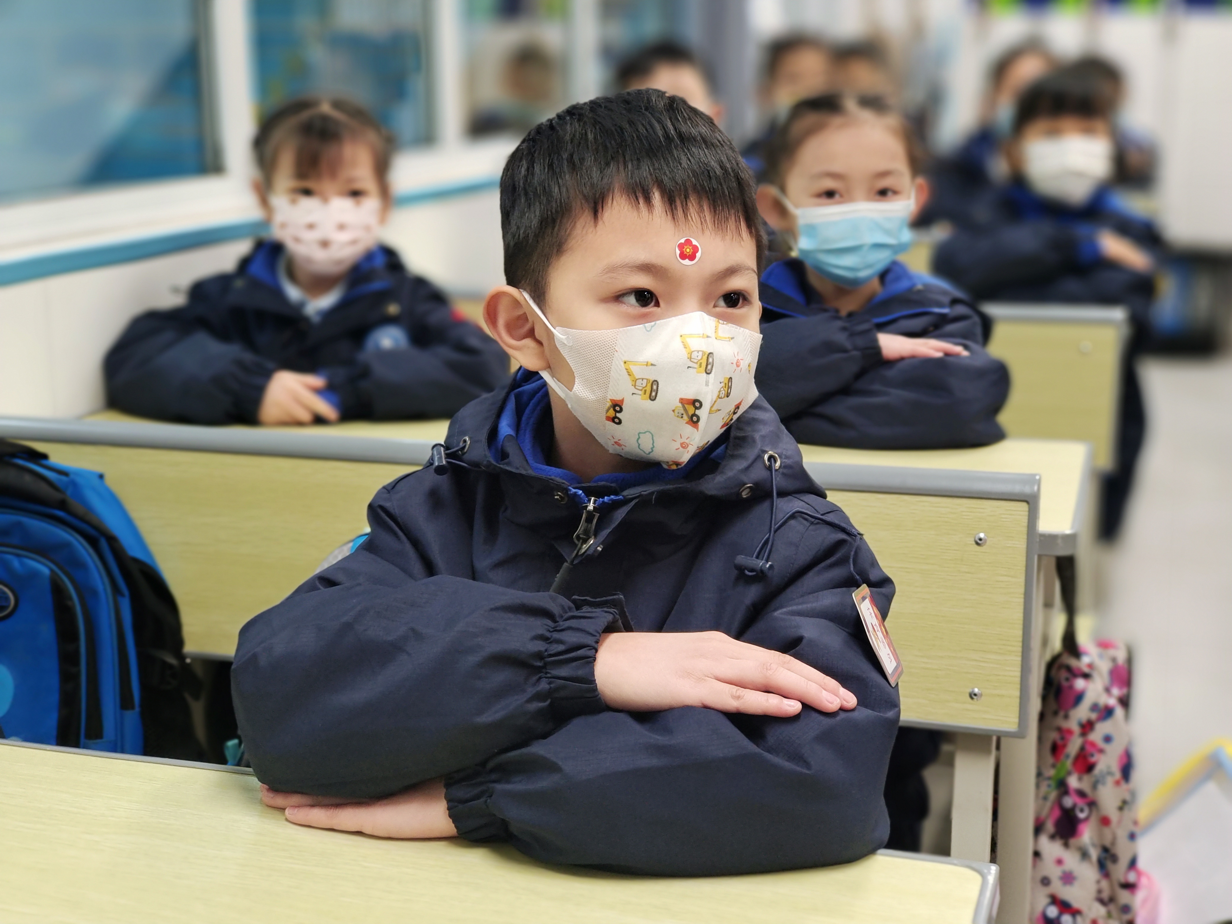 春天里朝气蓬勃,春天里向上的力量