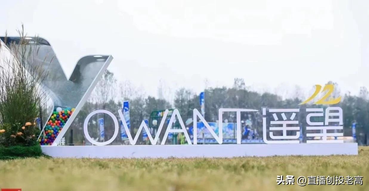 辛巴带货团队,辛巴带团队赶赴泰国