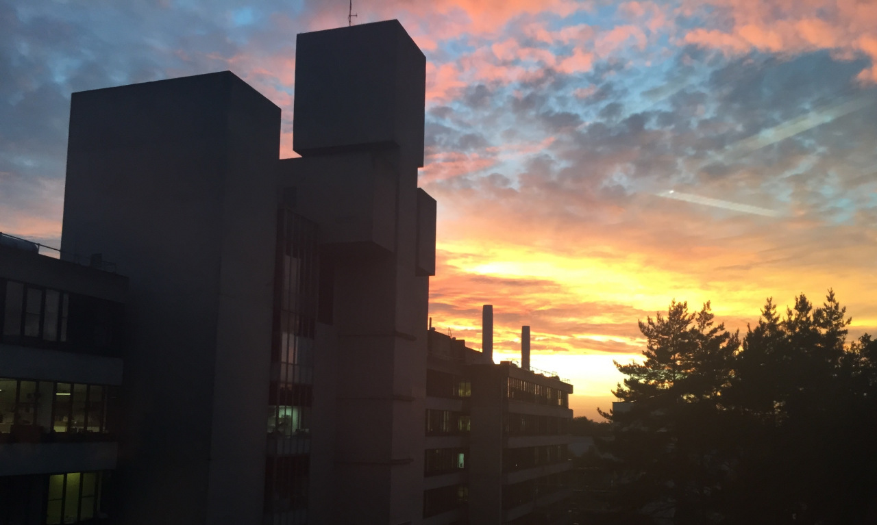 英国东英吉利大学24年世界排名,东英吉利大学世界大学