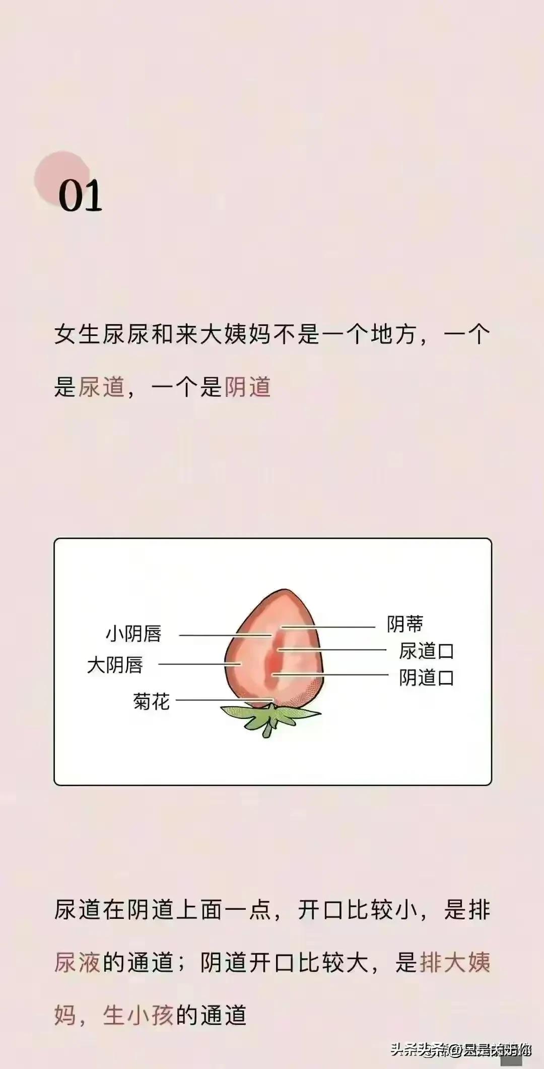 女性阴道生理科普知识点书,女性阴道生理科普书籍