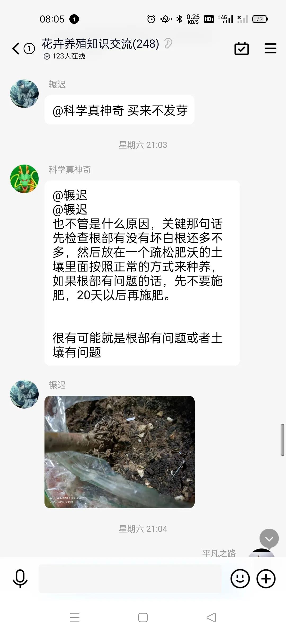 我家的绿植黄叶了怎么办,绿植出现病虫害怎么处理