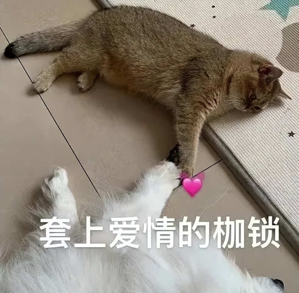 北纬52°1314，这个“为爱而生”的地方，连空气都是甜的