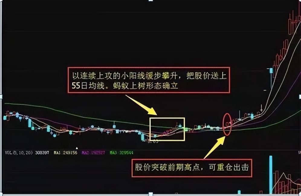 股市暴跌为啥散户炒股,散户炒股的基本认识和技巧
