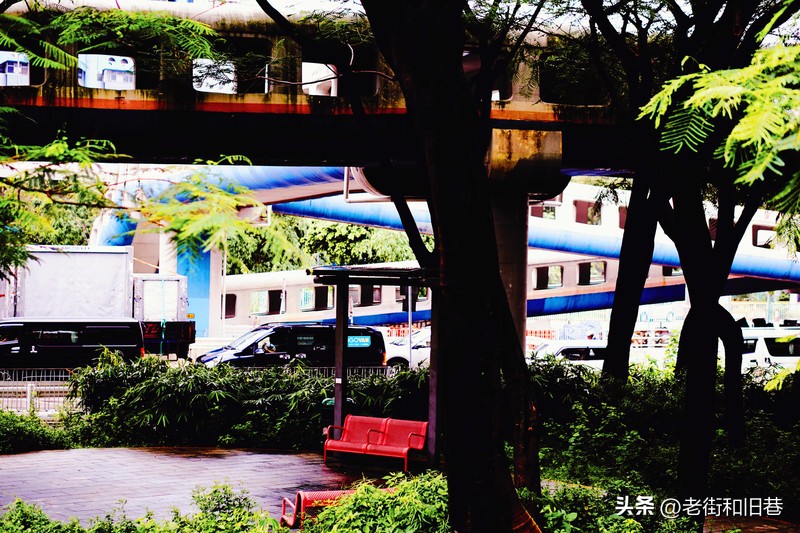 罗生门和黄粱梦,罗生门香港live