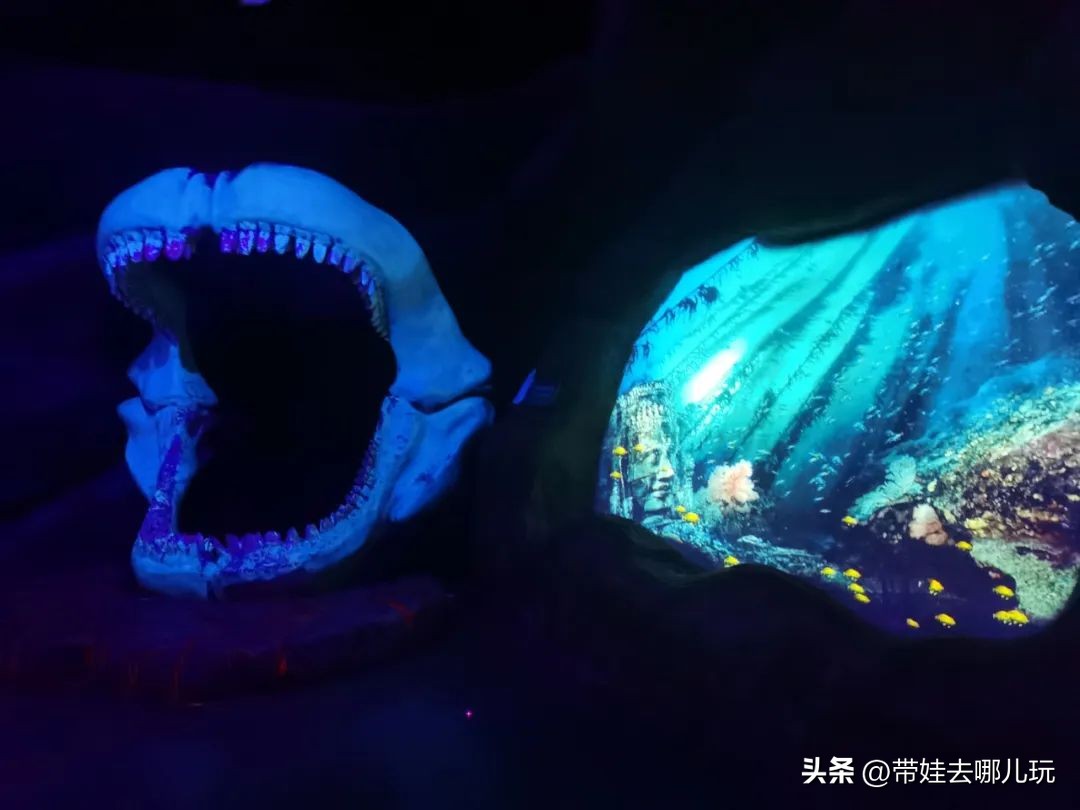 天津海昌极地海洋公园冬天营业吗,天津海昌极地海洋公园游玩攻略