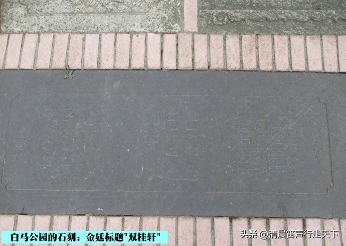 白马公园白马石刻朝代,公园石刻精品欣赏