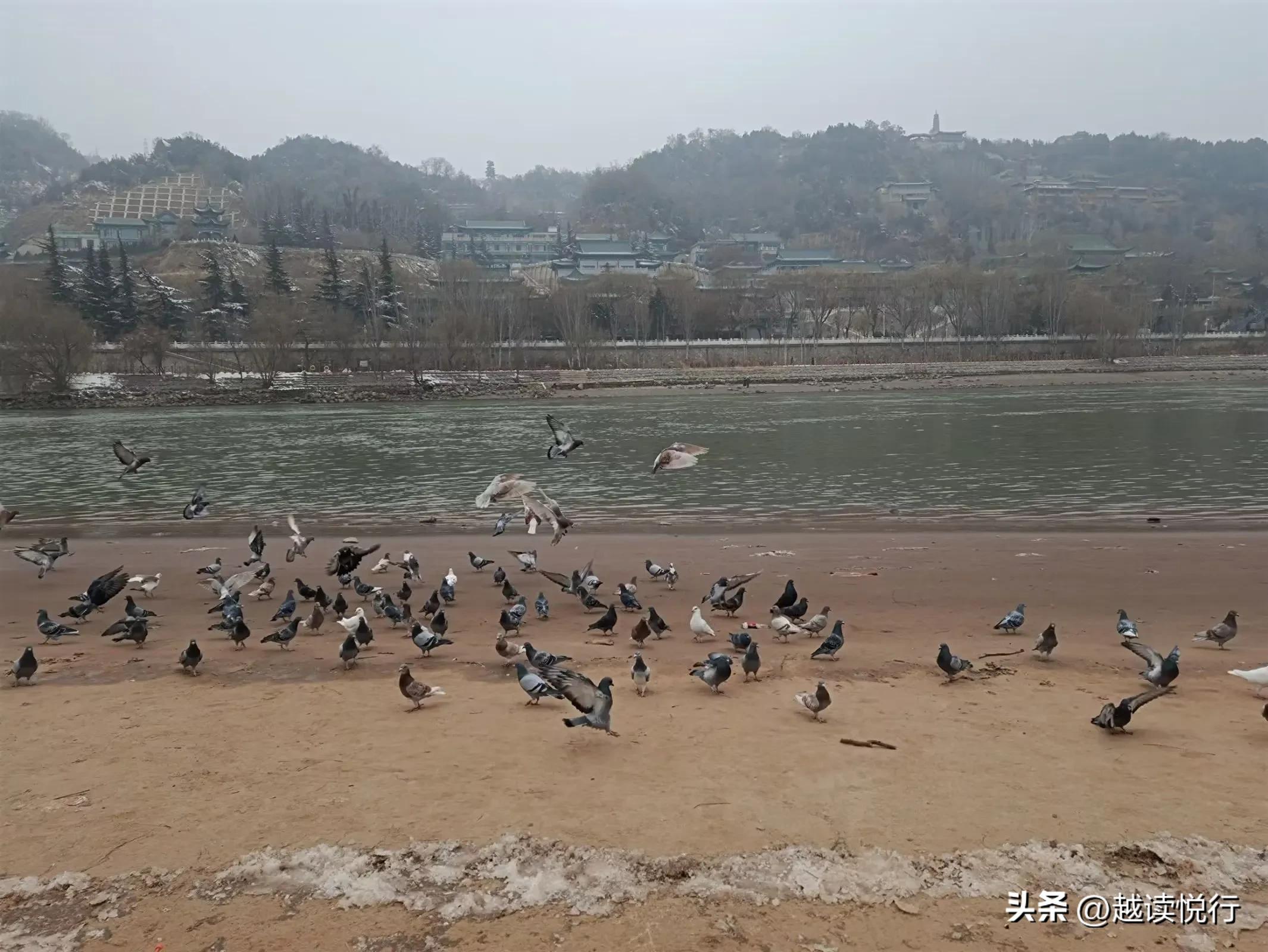 北方春来迟，料峭春寒中，看黄河水暖，白塔山醒！