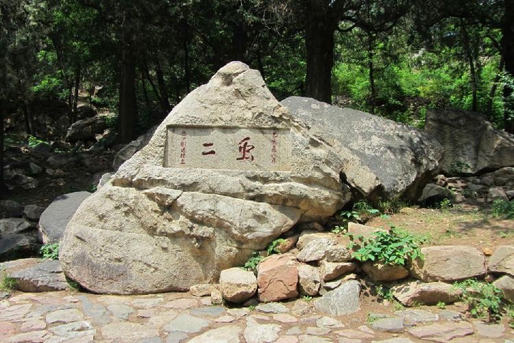 郭沫若泰山上刻着两个字,郭沫若泰山上写了什么字