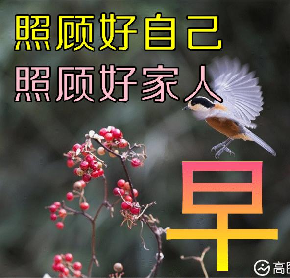 早安的带大字精美图片问候语,每日最新早安图片带日期