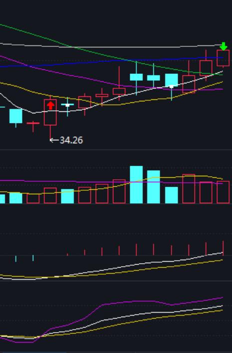 随心动含义,随心意交易软件怎么样